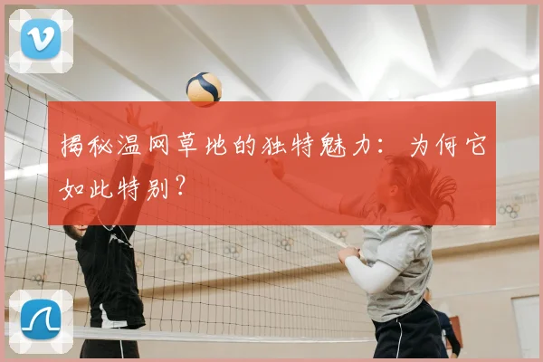 揭秘温网草地的独特魅力：为何它如此特别？