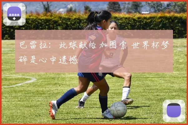 巴雷拉：此球献给加图索 世界杯梦碎是心中遗憾