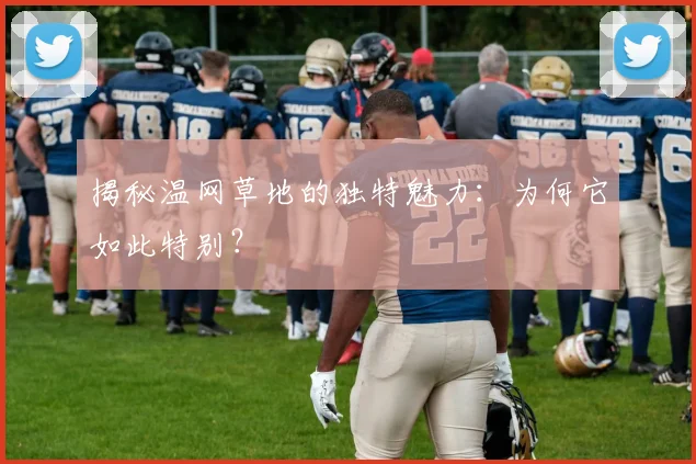 揭秘温网草地的独特魅力：为何它如此特别？