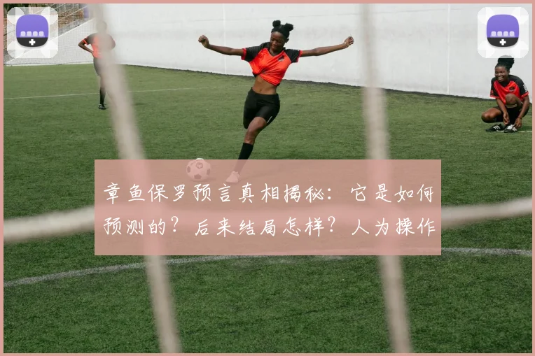 章鱼保罗预言真相揭秘：它是如何预测的？后来结局怎样？人为操作还是巧合？